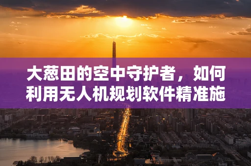 大葱田的空中守护者，如何利用无人机规划软件精准施药？