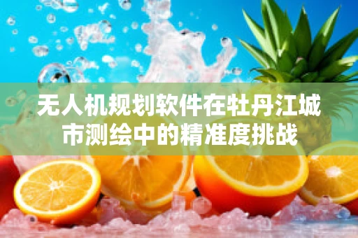 无人机规划软件在牡丹江城市测绘中的精准度挑战