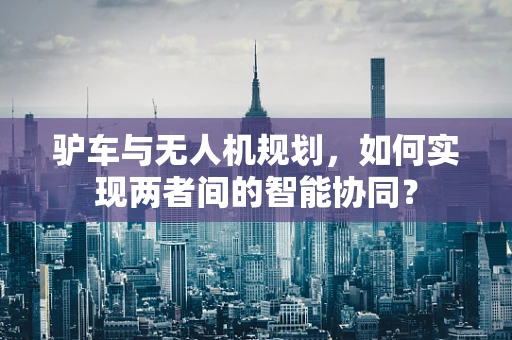 驴车与无人机规划，如何实现两者间的智能协同？