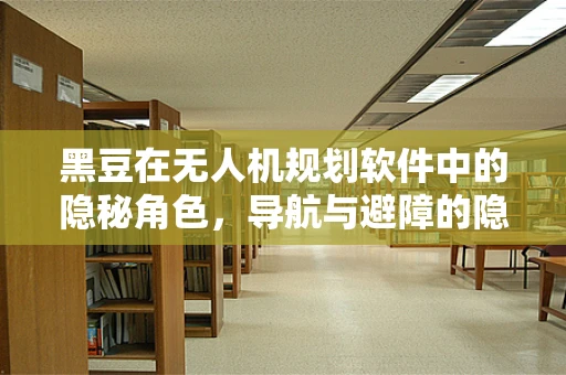 黑豆在无人机规划软件中的隐秘角色，导航与避障的隐形英雄