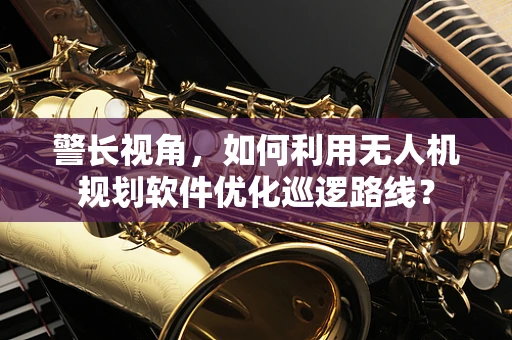 警长视角，如何利用无人机规划软件优化巡逻路线？