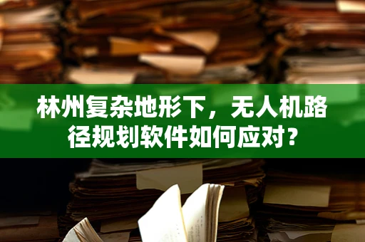 林州复杂地形下，无人机路径规划软件如何应对？