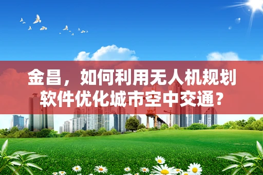 金昌，如何利用无人机规划软件优化城市空中交通？