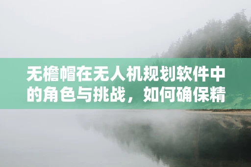 无檐帽在无人机规划软件中的角色与挑战，如何确保精准导航？