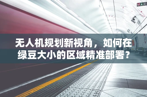 无人机规划新视角，如何在绿豆大小的区域精准部署？