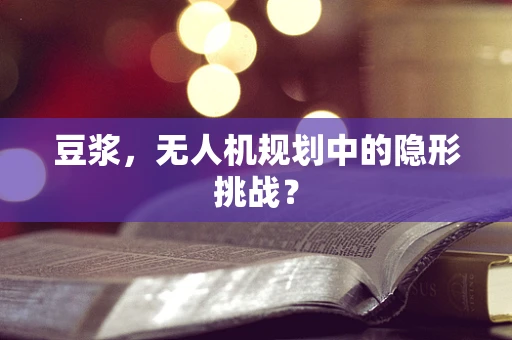 豆浆，无人机规划中的隐形挑战？