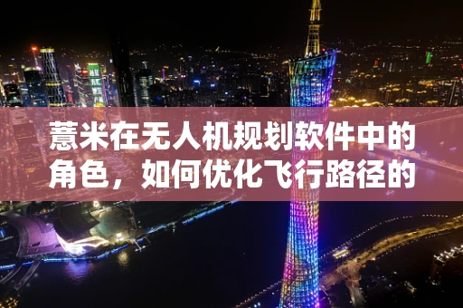 薏米在无人机规划软件中的角色，如何优化飞行路径的‘智慧米粒’？