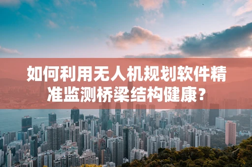 如何利用无人机规划软件精准监测桥梁结构健康？