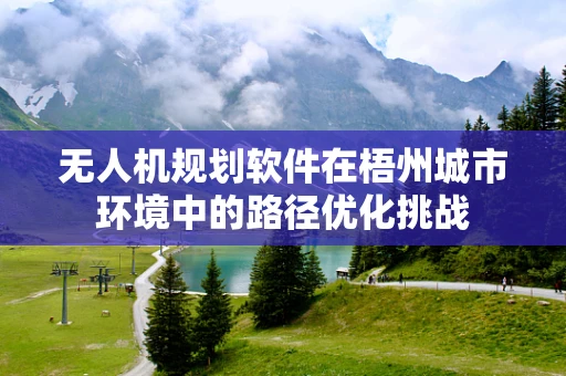 无人机规划软件在梧州城市环境中的路径优化挑战