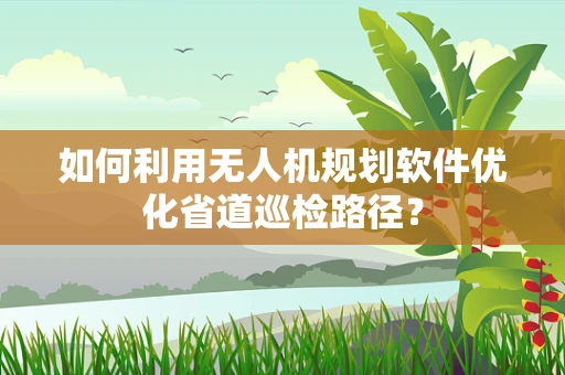 如何利用无人机规划软件优化省道巡检路径？
