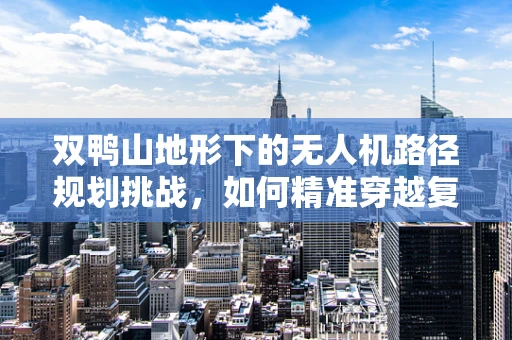 双鸭山地形下的无人机路径规划挑战，如何精准穿越复杂地貌？