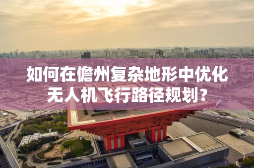 如何在儋州复杂地形中优化无人机飞行路径规划？