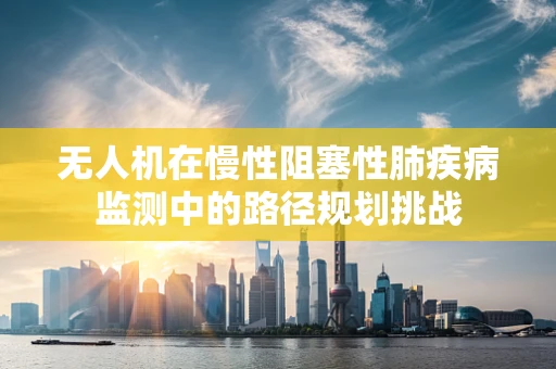无人机在慢性阻塞性肺疾病监测中的路径规划挑战