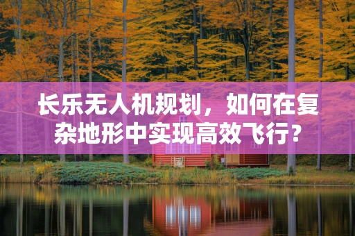 长乐无人机规划，如何在复杂地形中实现高效飞行？