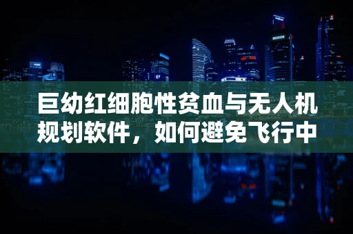 巨幼红细胞性贫血与无人机规划软件，如何避免飞行中的‘贫血’？