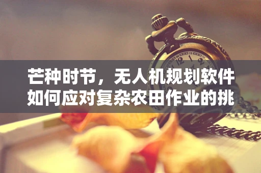 芒种时节，无人机规划软件如何应对复杂农田作业的挑战？