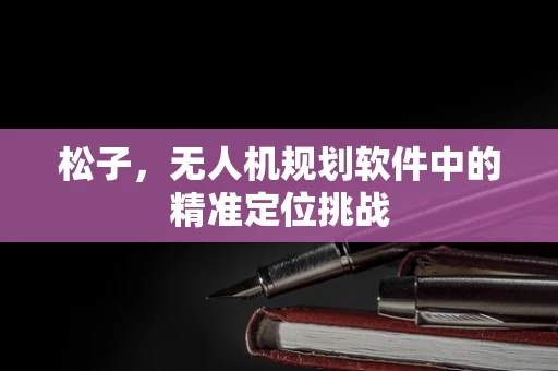 松子，无人机规划软件中的精准定位挑战