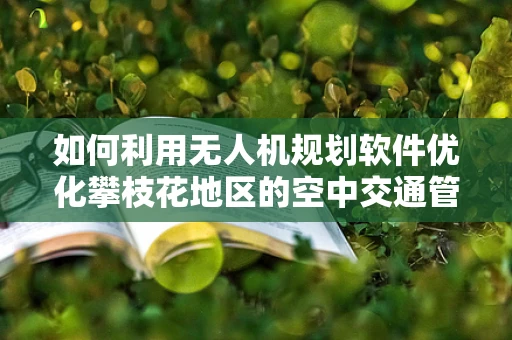 如何利用无人机规划软件优化攀枝花地区的空中交通管理？