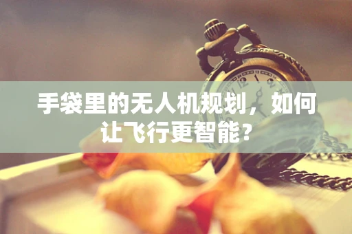 手袋里的无人机规划，如何让飞行更智能？