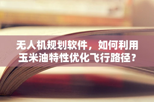 无人机规划软件，如何利用玉米油特性优化飞行路径？