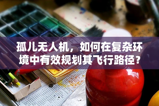 孤儿无人机，如何在复杂环境中有效规划其飞行路径？
