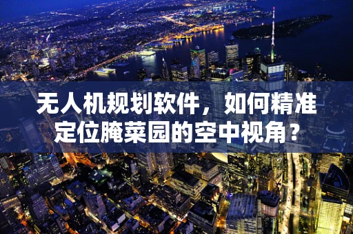 无人机规划软件，如何精准定位腌菜园的空中视角？