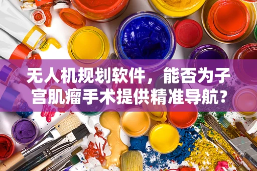 无人机规划软件，能否为子宫肌瘤手术提供精准导航？