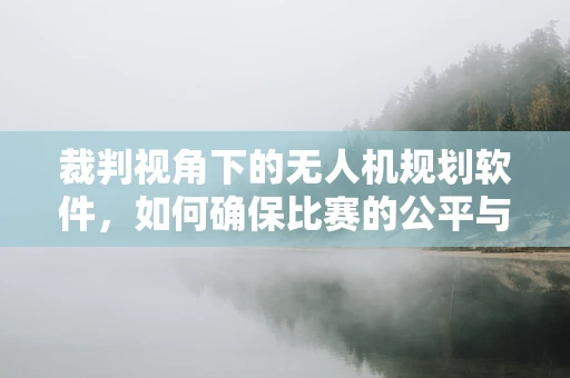 裁判视角下的无人机规划软件，如何确保比赛的公平与安全？