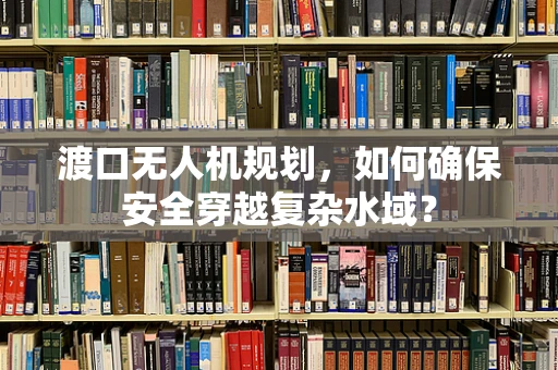 渡口无人机规划，如何确保安全穿越复杂水域？