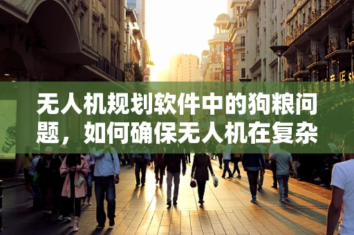 无人机规划软件中的狗粮问题，如何确保无人机在复杂地形中精准投送？