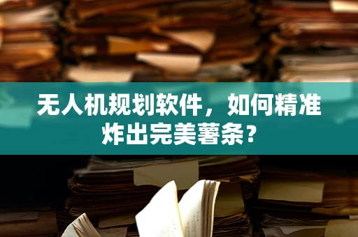 无人机规划软件，如何精准炸出完美薯条？