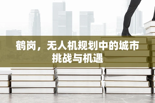 鹤岗，无人机规划中的城市挑战与机遇