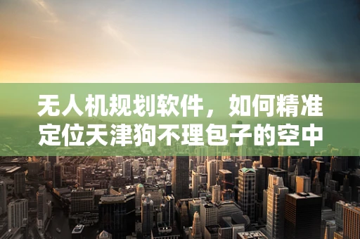 无人机规划软件，如何精准定位天津狗不理包子的空中宣传新视角？