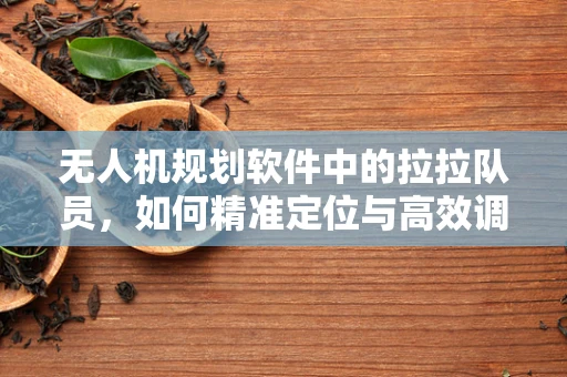 无人机规划软件中的拉拉队员，如何精准定位与高效调度？