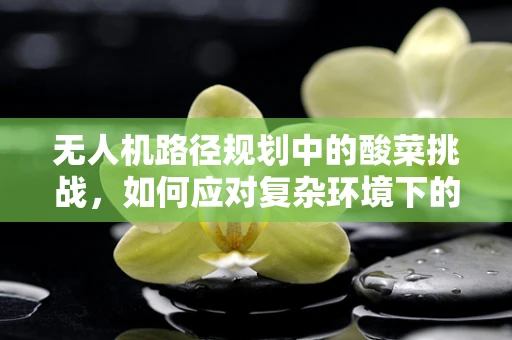 无人机路径规划中的酸菜挑战，如何应对复杂环境下的非典型障碍？