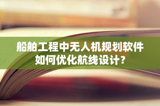 船舶工程中无人机规划软件如何优化航线设计？