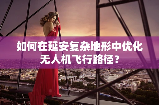 如何在延安复杂地形中优化无人机飞行路径？