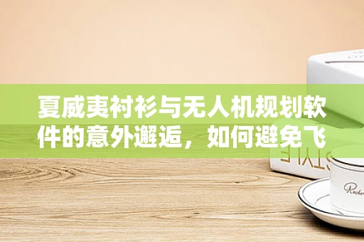 夏威夷衬衫与无人机规划软件的意外邂逅，如何避免飞行计划中的‘色彩碰撞’？