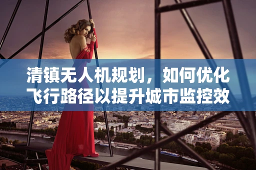 清镇无人机规划，如何优化飞行路径以提升城市监控效率？