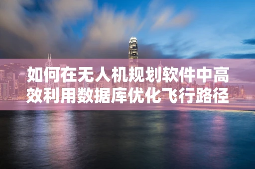如何在无人机规划软件中高效利用数据库优化飞行路径规划？
