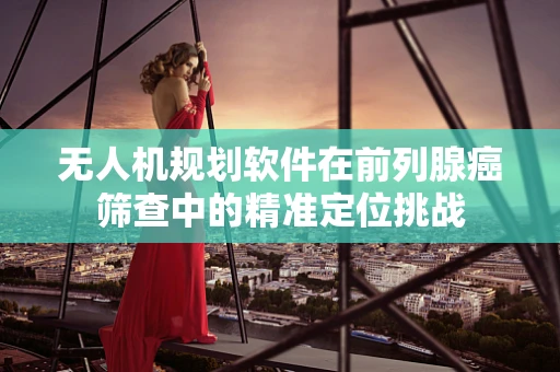 无人机规划软件在前列腺癌筛查中的精准定位挑战
