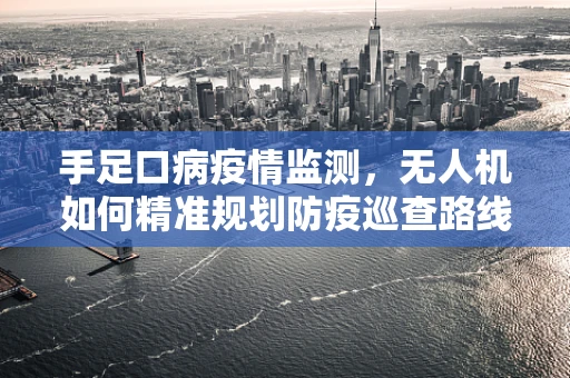 手足口病疫情监测，无人机如何精准规划防疫巡查路线？