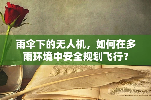 雨伞下的无人机，如何在多雨环境中安全规划飞行？