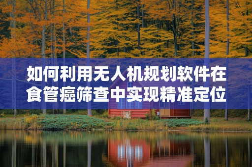 如何利用无人机规划软件在食管癌筛查中实现精准定位？