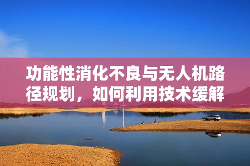 功能性消化不良与无人机路径规划，如何利用技术缓解‘飞行的胃痛’？