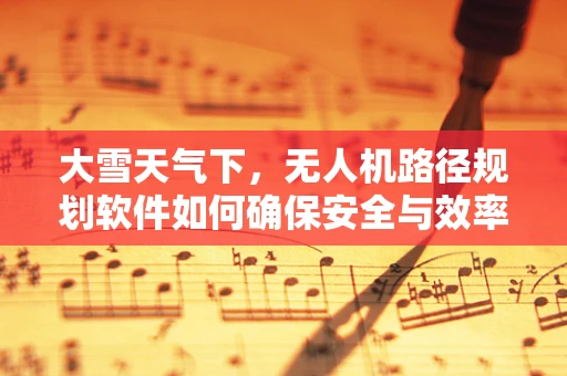 大雪天气下，无人机路径规划软件如何确保安全与效率？