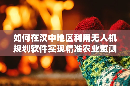 如何在汉中地区利用无人机规划软件实现精准农业监测？