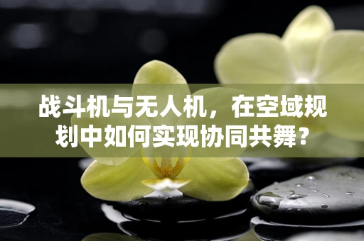 战斗机与无人机，在空域规划中如何实现协同共舞？