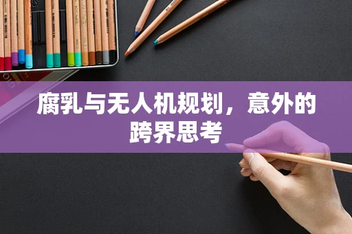 腐乳与无人机规划，意外的跨界思考