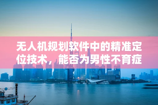 无人机规划软件中的精准定位技术，能否为男性不育症诊断提供新视角？